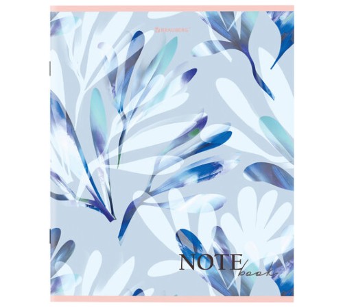 Тетрадь А5 96 л. BRAUBERG скоба, клетка, обложка картон, 