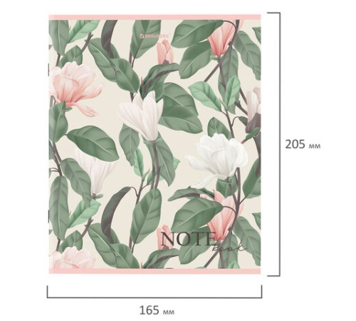 Тетрадь А5 96 л. BRAUBERG скоба, клетка, обложка картон, 