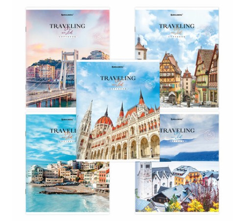 Тетрадь А5, 96 л. BRAUBERG, скоба, линия, обложка картон, 