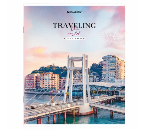 Тетрадь А5, 96 л. BRAUBERG, скоба, линия, обложка картон, 