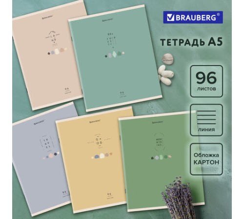 Тетрадь А5 96 л. BRAUBERG скоба, линия, обложка картон, 