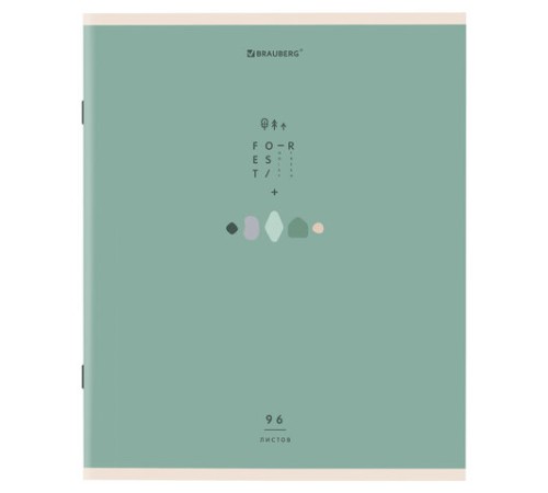Тетрадь А5 96 л. BRAUBERG скоба, линия, обложка картон, 