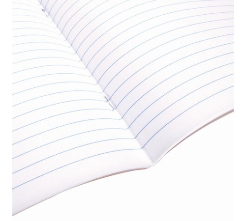 Тетрадь А5 96 л. BRAUBERG скоба, линия, обложка картон, 