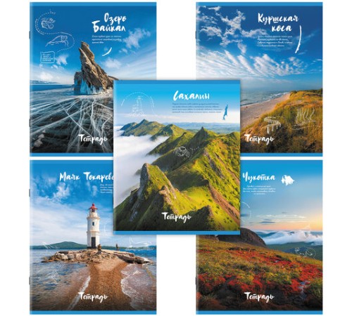 Тетрадь А5, 96 л., STAFF, скоба, клетка, офсет №2 ЭКОНОМ, обложка картон, 