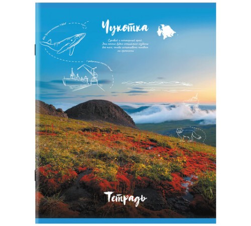 Тетрадь А5, 96 л., STAFF, скоба, клетка, офсет №2 ЭКОНОМ, обложка картон, 