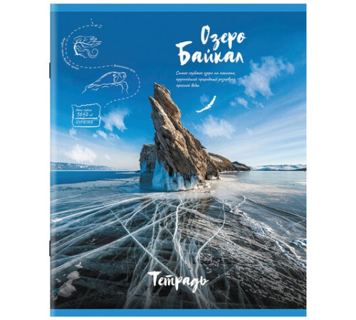 Тетрадь А5, 96 л., STAFF, скоба, клетка, офсет №2 ЭКОНОМ, обложка картон, 