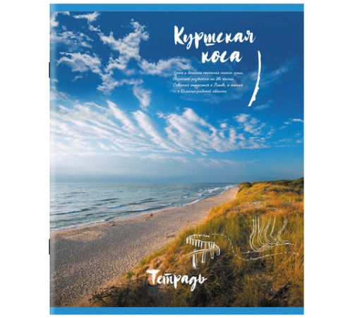 Тетрадь А5, 96 л., STAFF, скоба, клетка, офсет №2 ЭКОНОМ, обложка картон, 