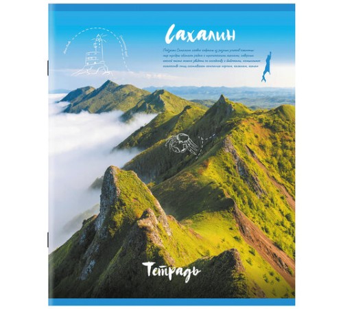 Тетрадь А5, 96 л., STAFF, скоба, клетка, офсет №2 ЭКОНОМ, обложка картон, 