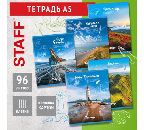 Тетрадь А5, 96 л., STAFF, скоба, клетка, офсет №2 ЭКОНОМ, обложка картон, 