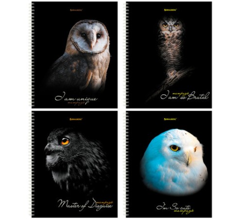 Тетрадь А5 96 л. BRAUBERG, гребень, клетка, твёрдая обложка, 