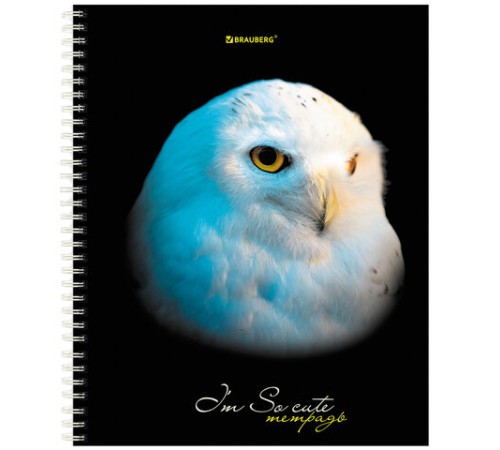 Тетрадь А5 96 л. BRAUBERG, гребень, клетка, твёрдая обложка, 