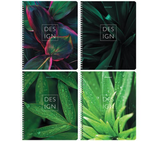 Тетрадь А5 120 л. BRAUBERG, гребень, клетка, глянцевая ламинация, 