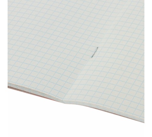 Тетрадь А5, 48 л., HATBER-ECO скоба, офсет №2 ЭКОНОМ, клетка, обложка мелованная бумага, 