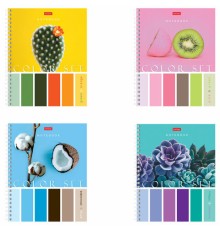 Тетрадь А5, 80 л., HATBER гребень, клетка, обложка картон, 