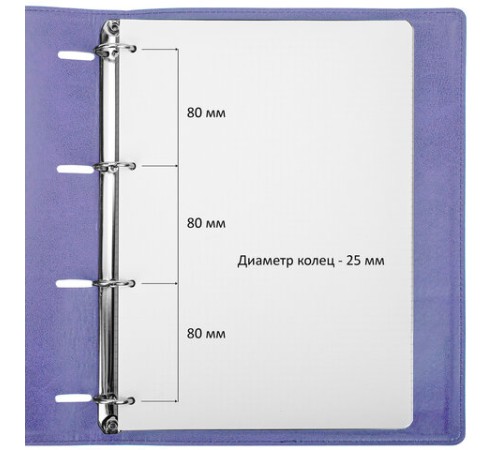 Тетрадь на кольцах БОЛЬШАЯ А4 (240х310 мм), 120 листов, под кожу, клетка, BRAUBERG 