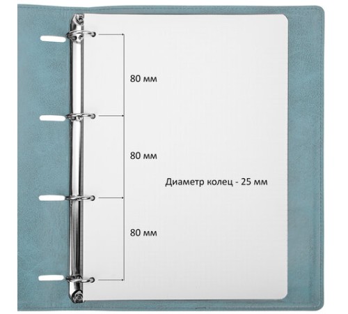 Тетрадь на кольцах БОЛЬШАЯ А4 (240х310 мм), 120 листов, под кожу, клетка, BRAUBERG 