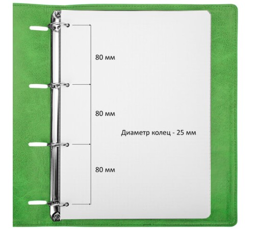 Тетрадь на кольцах БОЛЬШАЯ А4 (240х310 мм), 120 листов, под кожу, клетка, BRAUBERG 