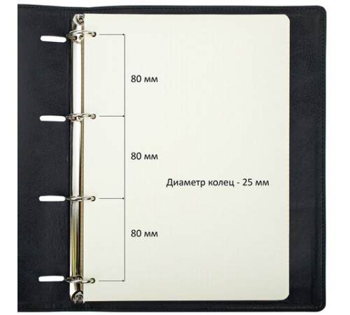 Тетрадь на кольцах БОЛЬШАЯ А4 (240х310 мм), 120 листов, под кожу, клетка, BRAUBERG 