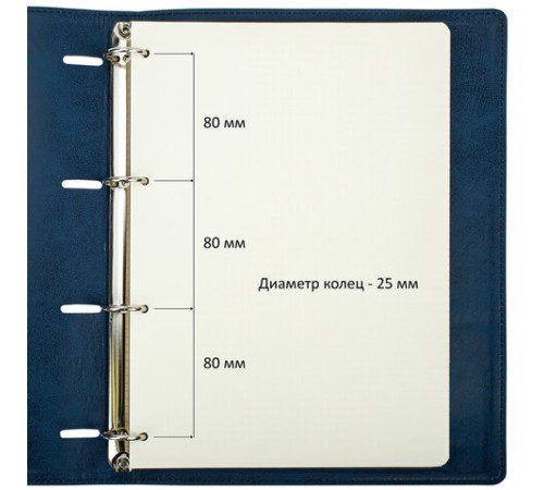 Тетрадь на кольцах БОЛЬШАЯ А4 (240х310 мм), 120 листов, под кожу, клетка, BRAUBERG 