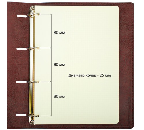 Тетрадь на кольцах БОЛЬШАЯ А4 (240х310 мм), 120 листов, под кожу, клетка, BRAUBERG 