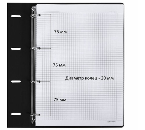 Тетрадь на кольцах БОЛЬШАЯ А4 (240х310 мм), 120 л., под кожу, BRAUBERG VISTA, 