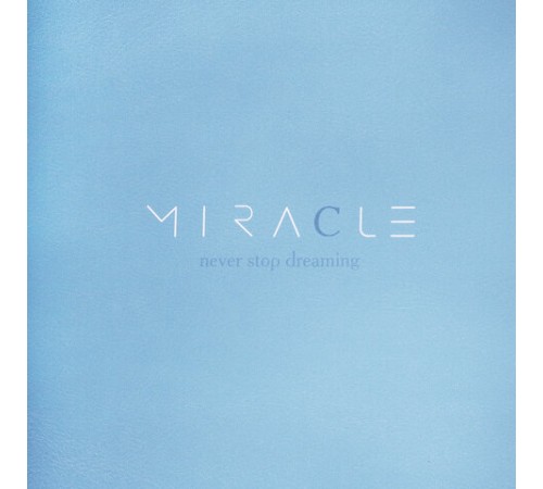 Тетрадь на кольцах БОЛЬШАЯ А4 (240х310 мм), 120 л., под кожу, BRAUBERG VISTA, 