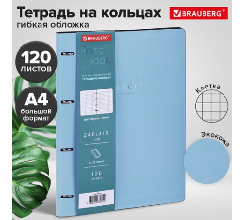 Тетрадь на кольцах БОЛЬШАЯ А4 (240х310 мм), 120 л., под кожу, BRAUBERG VISTA, 