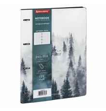 Тетрадь на кольцах БОЛЬШАЯ А4 (240х310 мм), 120 л., под кожу, BRAUBERG VISTA, 