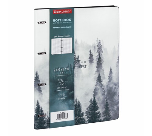 Тетрадь на кольцах БОЛЬШАЯ А4 (240х310 мм), 120 л., под кожу, BRAUBERG VISTA, 