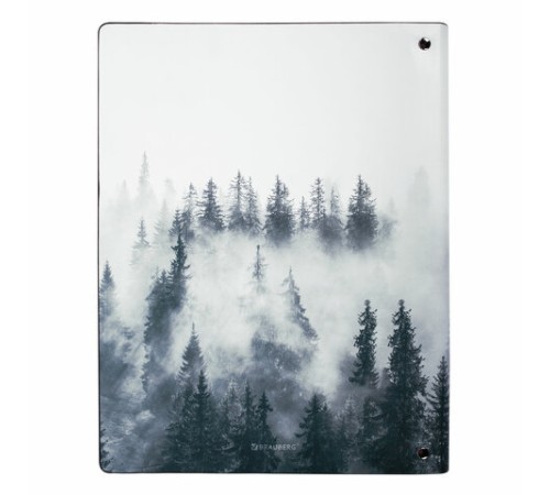 Тетрадь на кольцах БОЛЬШАЯ А4 (240х310 мм), 120 л., под кожу, BRAUBERG VISTA, 