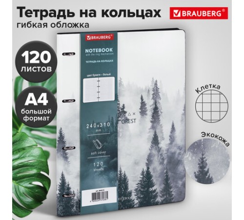 Тетрадь на кольцах БОЛЬШАЯ А4 (240х310 мм), 120 л., под кожу, BRAUBERG VISTA, 