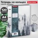 Тетрадь на кольцах БОЛЬШАЯ А4 (240х310 мм), 120 л., под кожу, BRAUBERG VISTA, 
