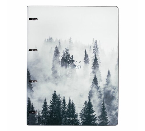 Тетрадь на кольцах БОЛЬШАЯ А4 (240х310 мм), 120 л., под кожу, BRAUBERG VISTA, 