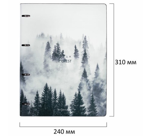 Тетрадь на кольцах БОЛЬШАЯ А4 (240х310 мм), 120 л., под кожу, BRAUBERG VISTA, 