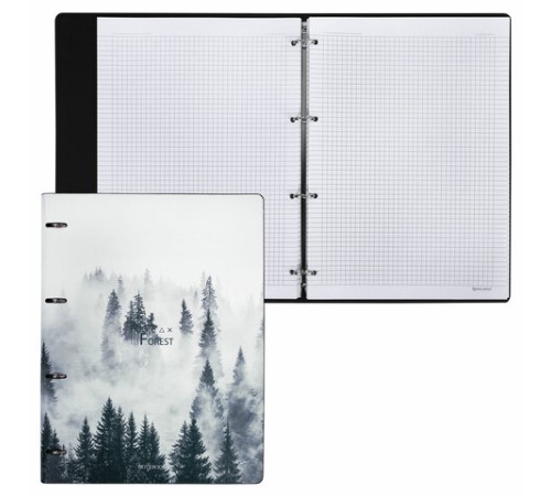 Тетрадь на кольцах БОЛЬШАЯ А4 (240х310 мм), 120 л., под кожу, BRAUBERG VISTA, 