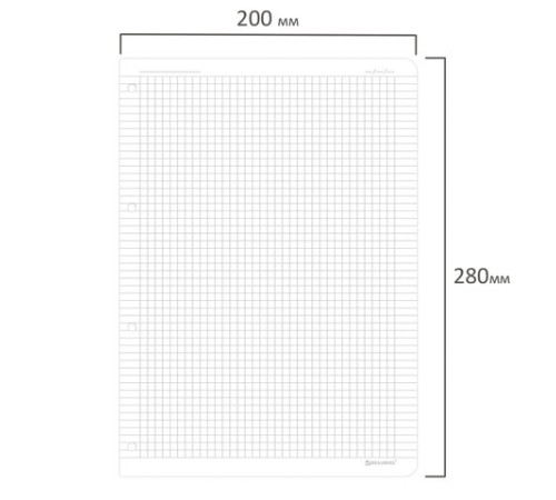 Сменный блок для тетради на кольцах БОЛЬШОЙ ФОРМАТ А4 120 л., BRAUBERG, ПОВЫШЕННОЙ ПЛОТНОСТИ, белый, 404516