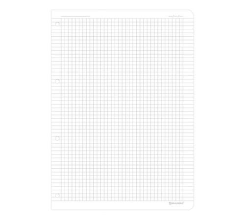 Сменный блок для тетради на кольцах БОЛЬШОЙ ФОРМАТ А4 120 л., BRAUBERG, ПОВЫШЕННОЙ ПЛОТНОСТИ, белый, 404516