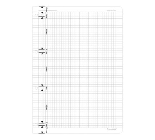 Сменный блок для тетради на кольцах БОЛЬШОЙ ФОРМАТ А4 120 л., BRAUBERG, ПОВЫШЕННОЙ ПЛОТНОСТИ, белый, 404516