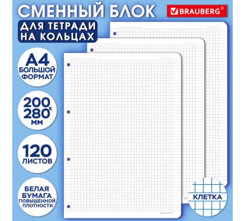 Сменный блок для тетради на кольцах БОЛЬШОЙ ФОРМАТ А4 120 л., BRAUBERG, ПОВЫШЕННОЙ ПЛОТНОСТИ, белый, 404516