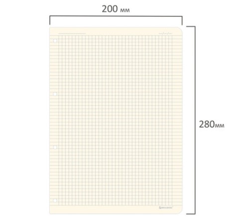 Сменный блок для тетради на кольцах БОЛЬШОЙ ФОРМАТ А4 120 л., BRAUBERG, ПОВЫШЕННОЙ ПЛОТНОСТИ, кремовый, 404517