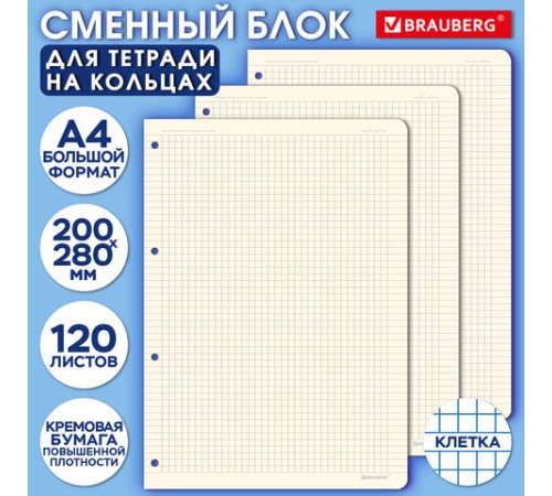 Сменный блок для тетради на кольцах БОЛЬШОЙ ФОРМАТ А4 120 л., BRAUBERG, ПОВЫШЕННОЙ ПЛОТНОСТИ, кремовый, 404517
