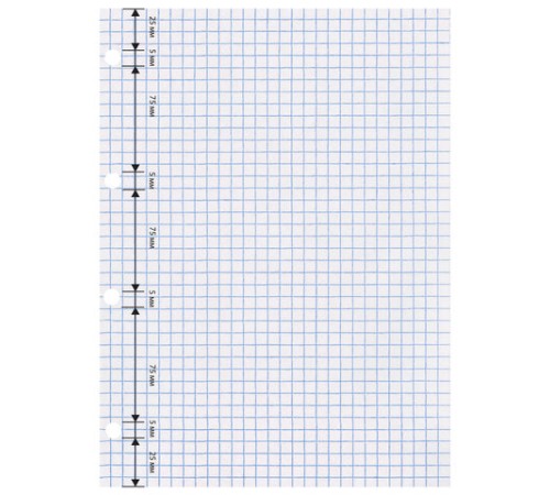 Сменный блок к тетради на кольцах БОЛЬШОГО ФОРМАТА А4, 120 л., BRAUBERG, Белый, 404518