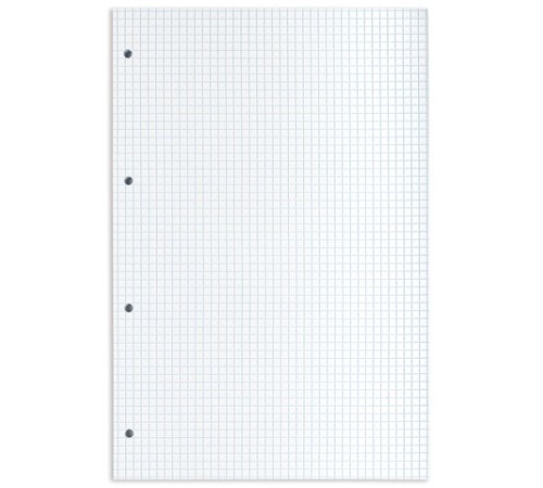 Сменный блок к тетради на кольцах БОЛЬШОГО ФОРМАТА А4, 120 л., BRAUBERG, Белый, 404518