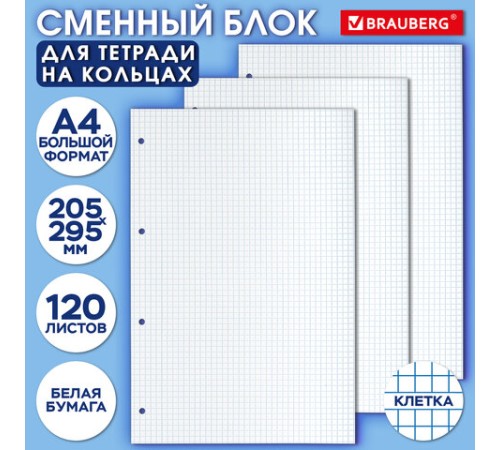 Сменный блок к тетради на кольцах БОЛЬШОГО ФОРМАТА А4, 120 л., BRAUBERG, Белый, 404518
