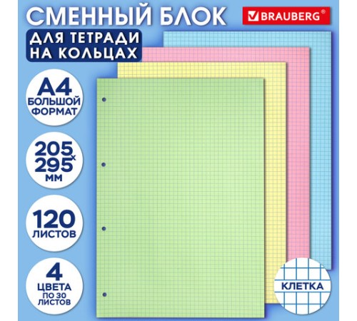 Сменный блок к тетради на кольцах БОЛЬШОЙ ФОРМАТ А4, 120 л., BRAUBERG, (4 цвета по 30 листов), 404519