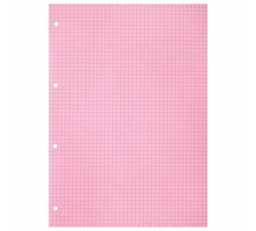 Сменный блок к тетради на кольцах БОЛЬШОЙ ФОРМАТ А4, 120 л., BRAUBERG, (4 цвета по 30 листов), 404519