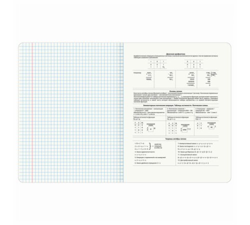 Тетрадь предметная ANIME 48 л., глянцевый УФ-лак, ИНФОРМАТИКА, клетка, BRAUBERG, 404538