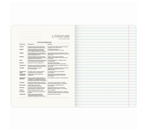 Тетрадь предметная ANIME 48 л., глянцевый УФ-лак, ЛИТЕРАТУРА, линия, BRAUBERG, 404540