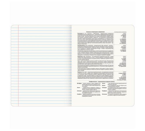 Тетрадь предметная ANIME 48 л., глянцевый УФ-лак, ЛИТЕРАТУРА, линия, BRAUBERG, 404540