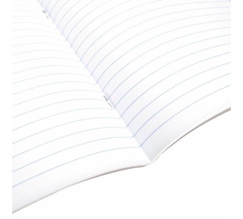 Тетрадь предметная ANIME 48 л., глянцевый УФ-лак, ЛИТЕРАТУРА, линия, BRAUBERG, 404540